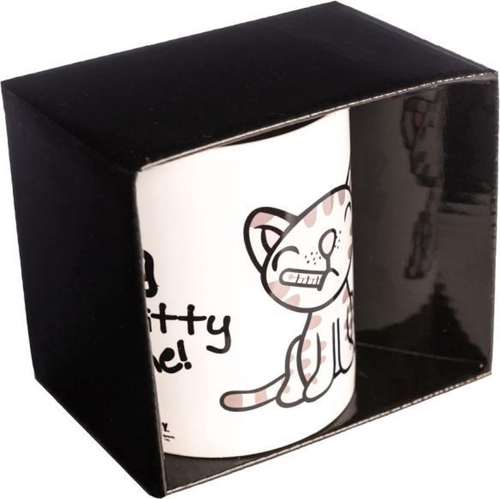 BIG BANG THEORY - Mug - Sing Soft Kitty to me